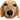 dawg dawg
